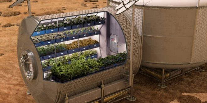 Brasil tendrá agricultores espaciales