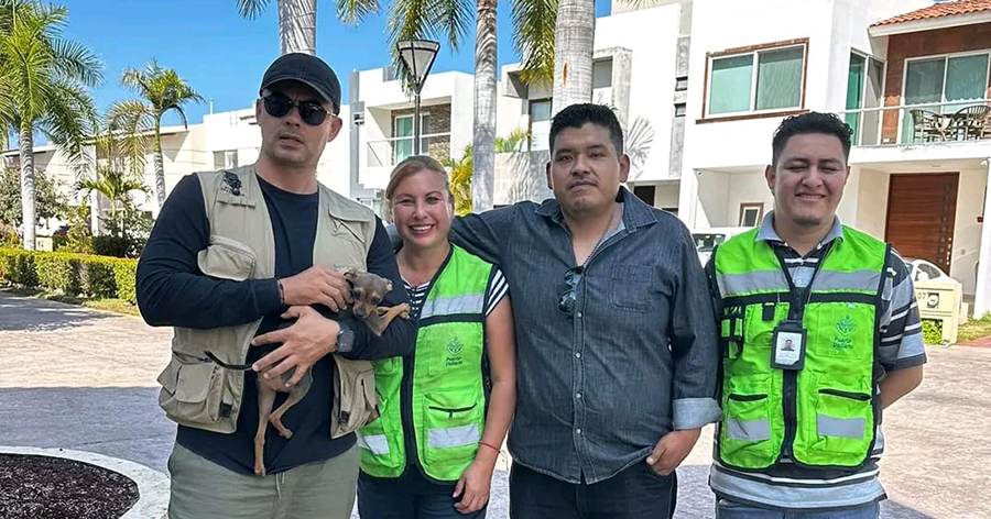 Rescatan perrito abandonado en Marina Vallarta