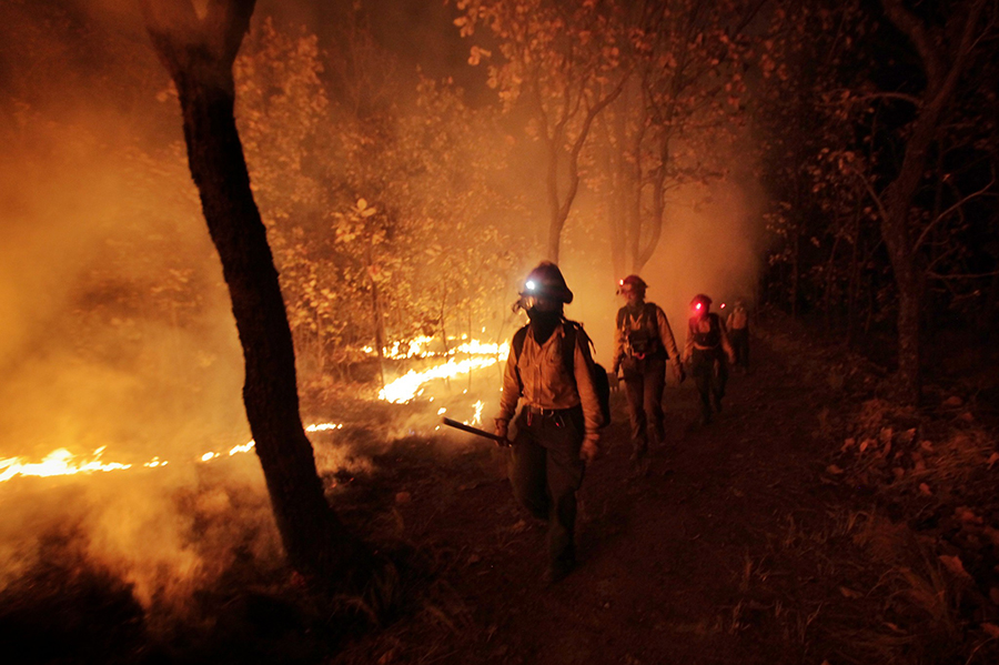 Incendios forestales, historia repetida