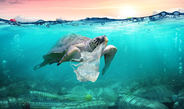 Océanos contaminados con basura en México