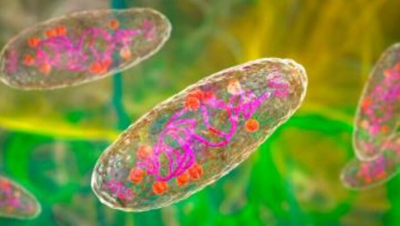 Los casos de peste en EE.UU.