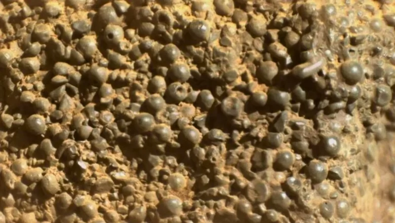 Roca marciana intriga a la NASA