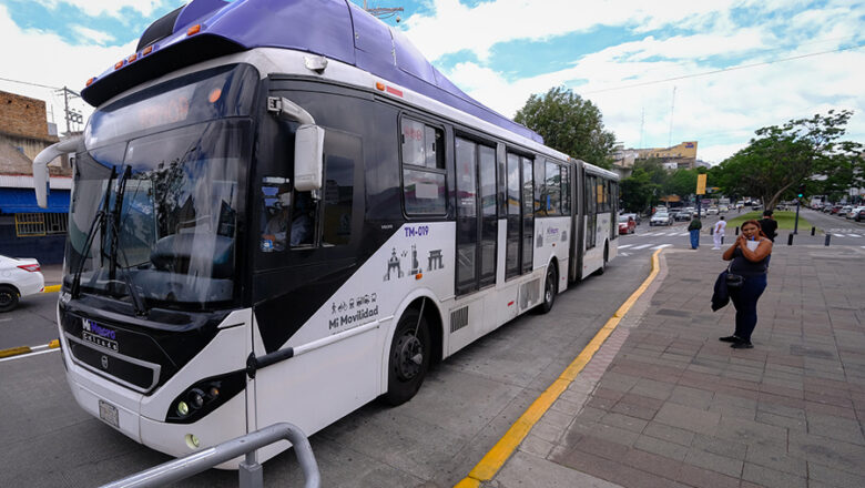 SITEUR y sus 7 “líneas”