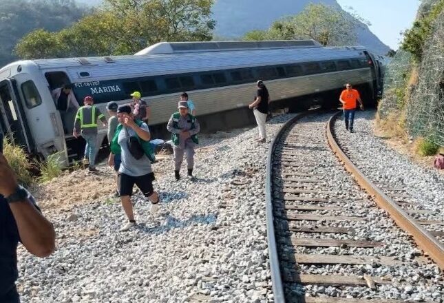Piden investigar empresas que rehabilitaron tren