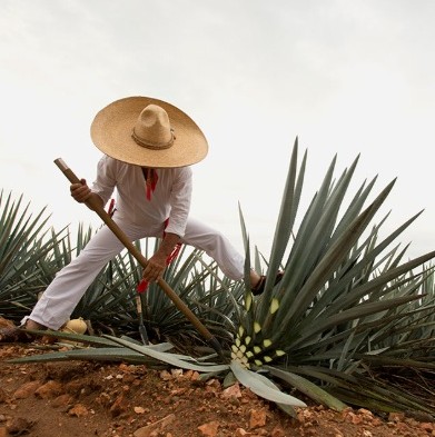 CRT, en la mira por pasarse de copas
