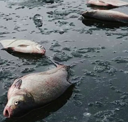 CRT, ¿conflicto de intereses?