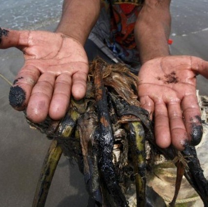 Playas de Veracruz contaminadas con chapopote