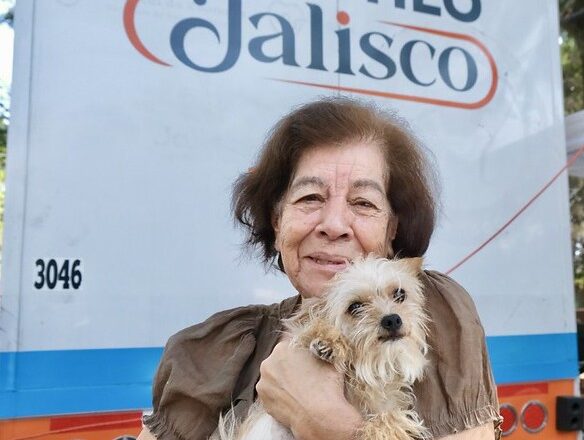 Suma Jalisco 31 años sin casos de rabia humana
