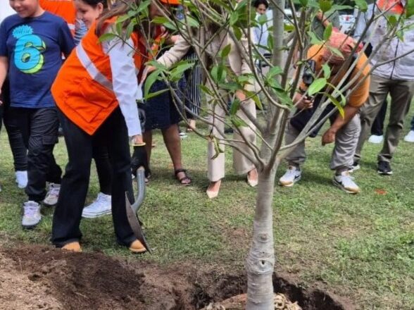 Invita Gobierno de Guadalajara a plantar árboles