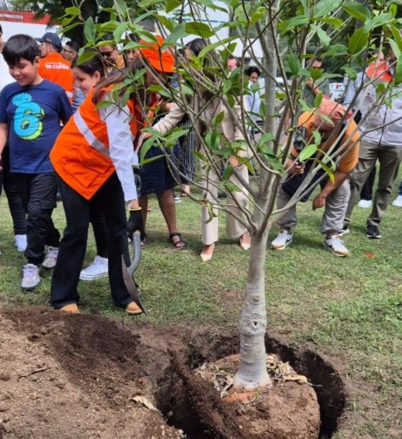 Invita Gobierno de Guadalajara a plantar árboles