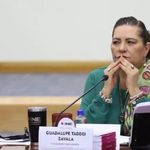 Exigen investigar a Taddei