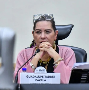 Taddei se aferra al INE; diputados van por ella