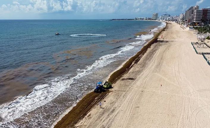 Acumulación de sargazo afecta turismo en playas